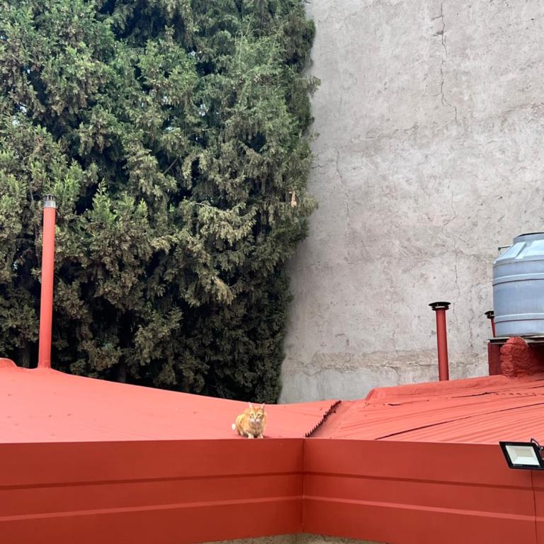 LgMdz - Casa Unifamiliar de 3 dormitorios - 54