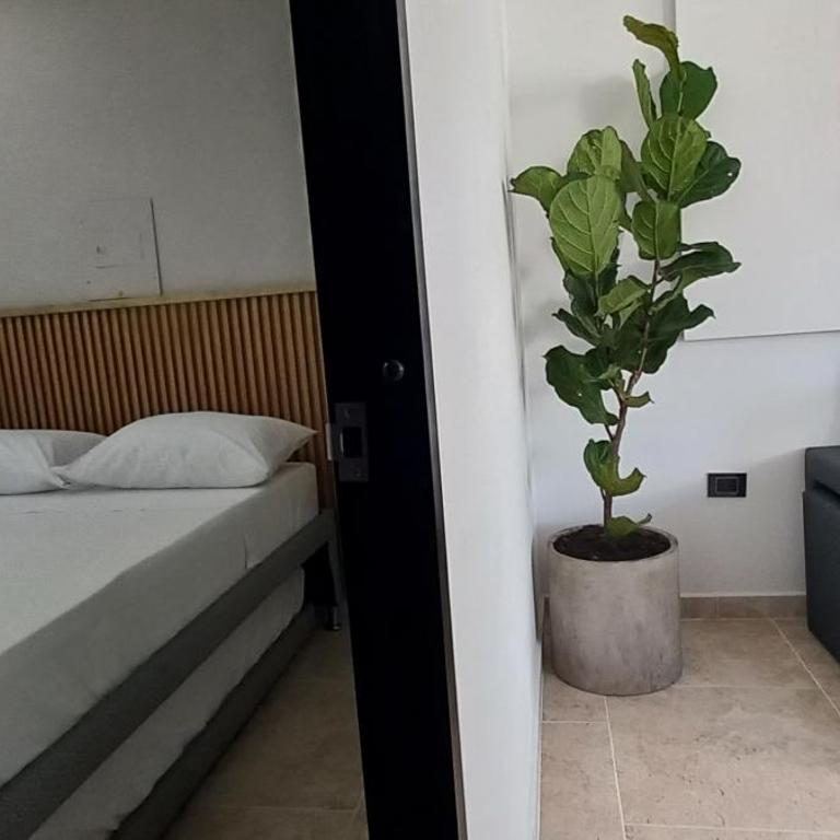 Hotel y Cabañas Parinzzi - Suite Deluxe con bañera de hidromasaje - 8