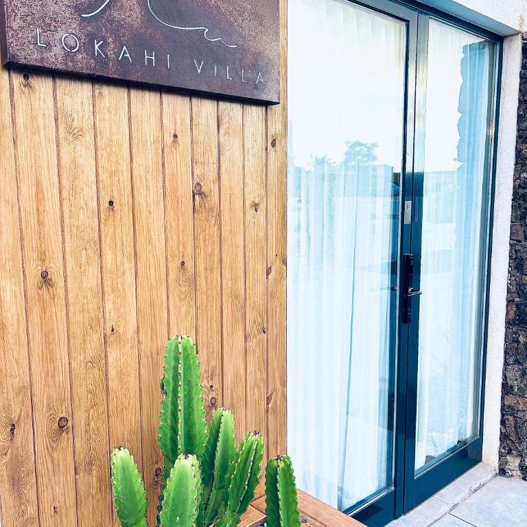 Lokahi Villa - Villa - 28