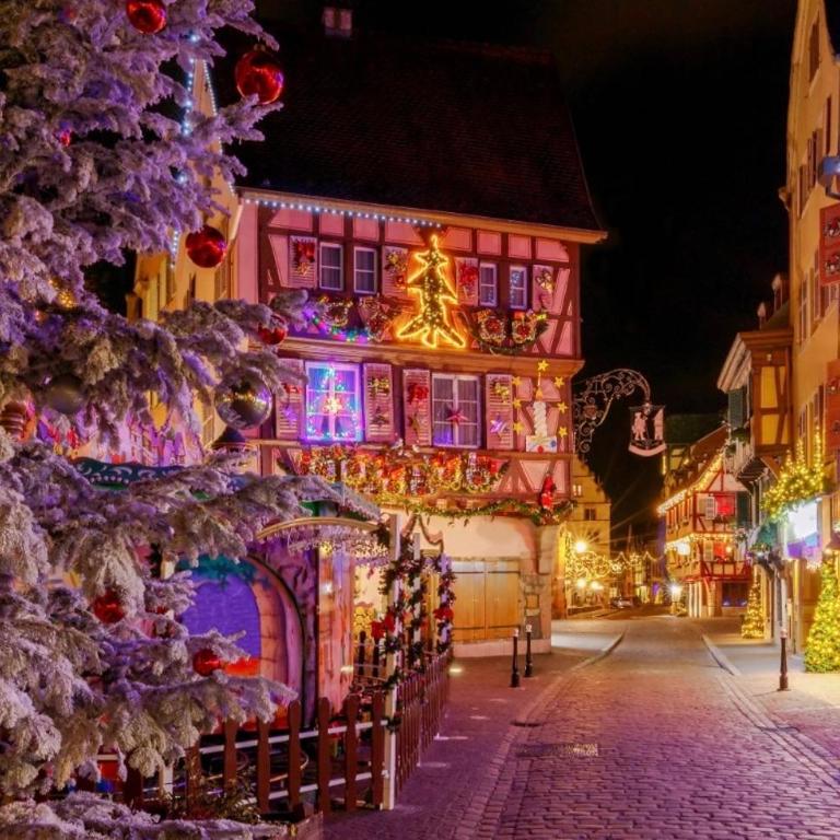 Escale cosy a Strasbourg au fil de l eau - Appartamento con 1 Camera da Letto - 35