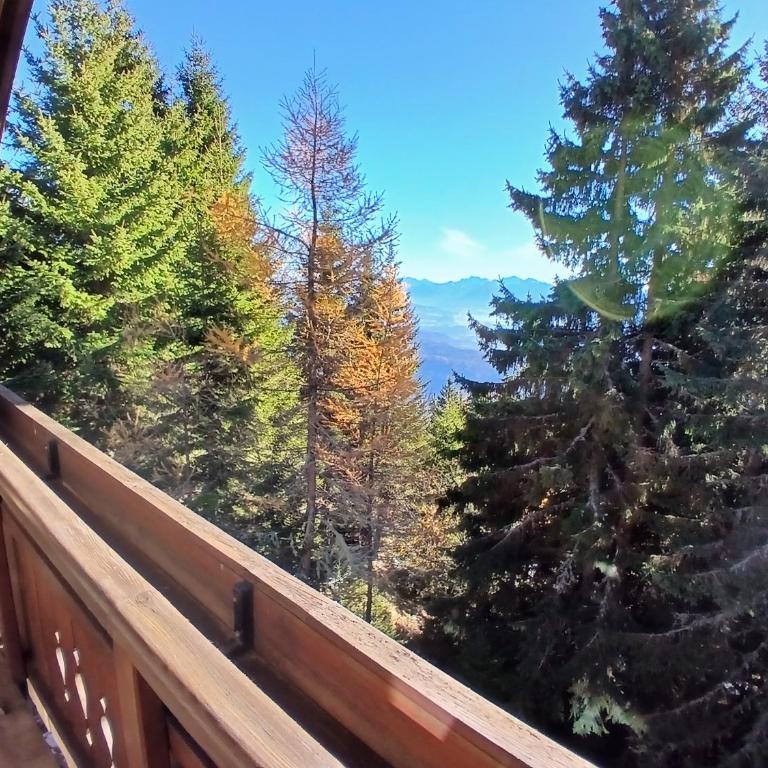 Enzianhütte Gerlitzen Kanzelhöhe - Apartment mit 2 Schlafzimmern - 3