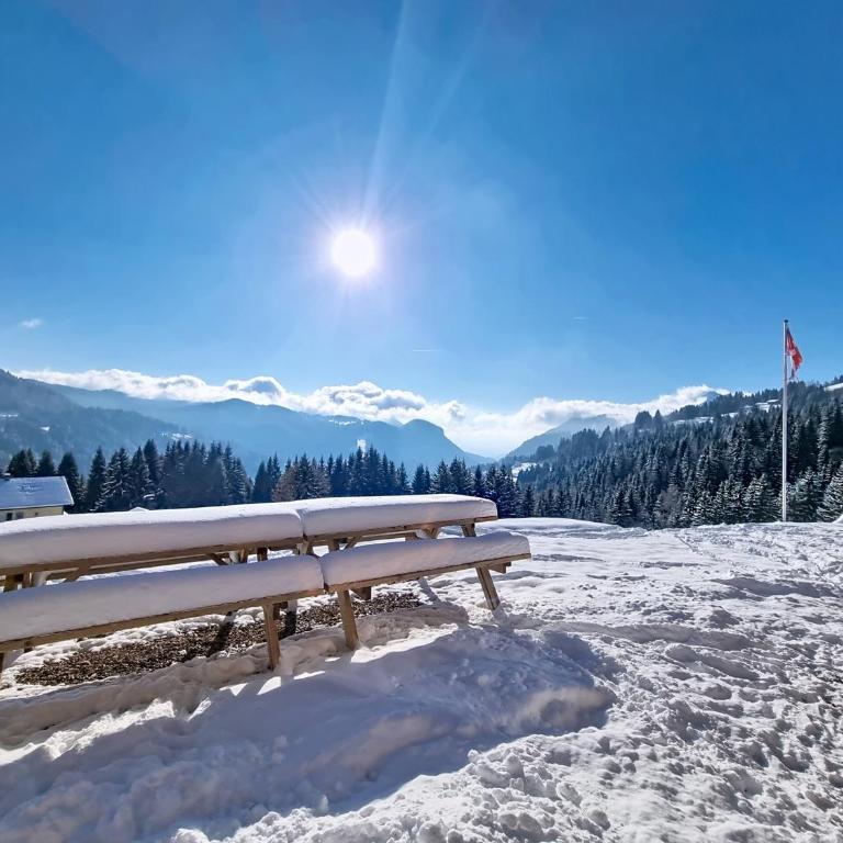 Ferme du Bouchet - 12 pers - Les Gets - Chalet - 48