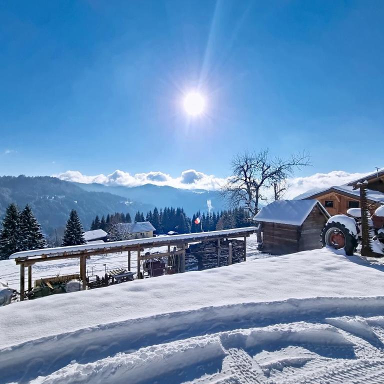Ferme du Bouchet - 12 pers - Les Gets - Chalet - 49