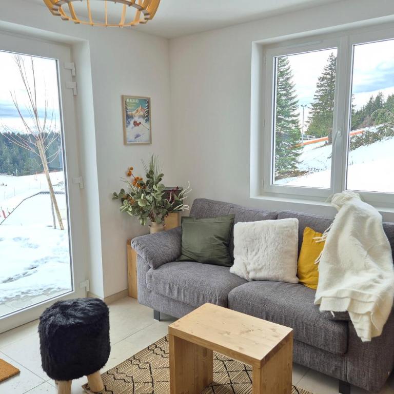 Magnifique appartement vue mont blanc - Apartment - 5
