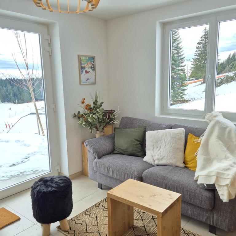 Magnifique appartement vue mont blanc - Apartment - 19