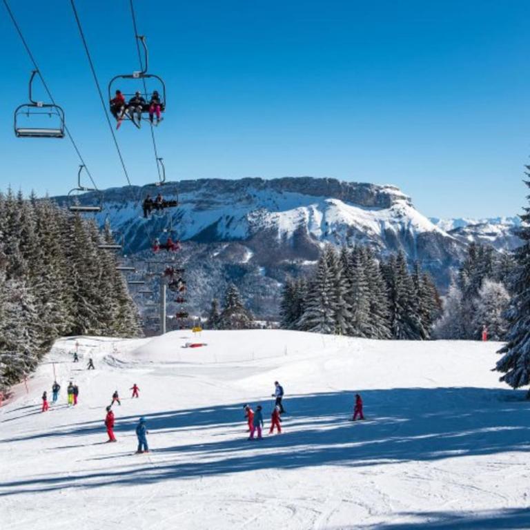 Magnifique appartement vue mont blanc - Apartment - 27