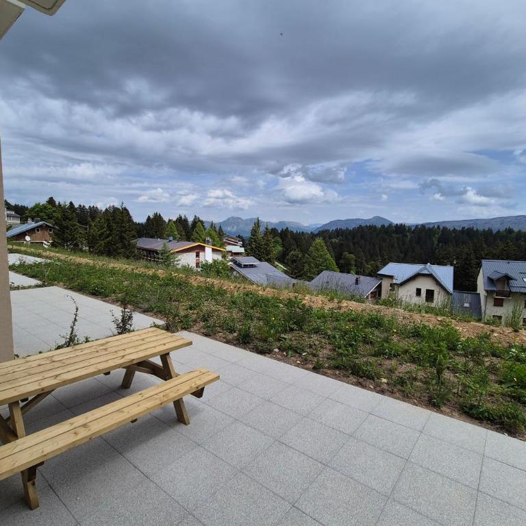 Magnifique appartement vue mont blanc - Apartment - 30