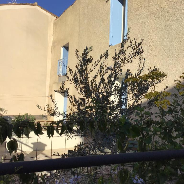Charmant studio Vias village - Appartement 1 Chambre - 18