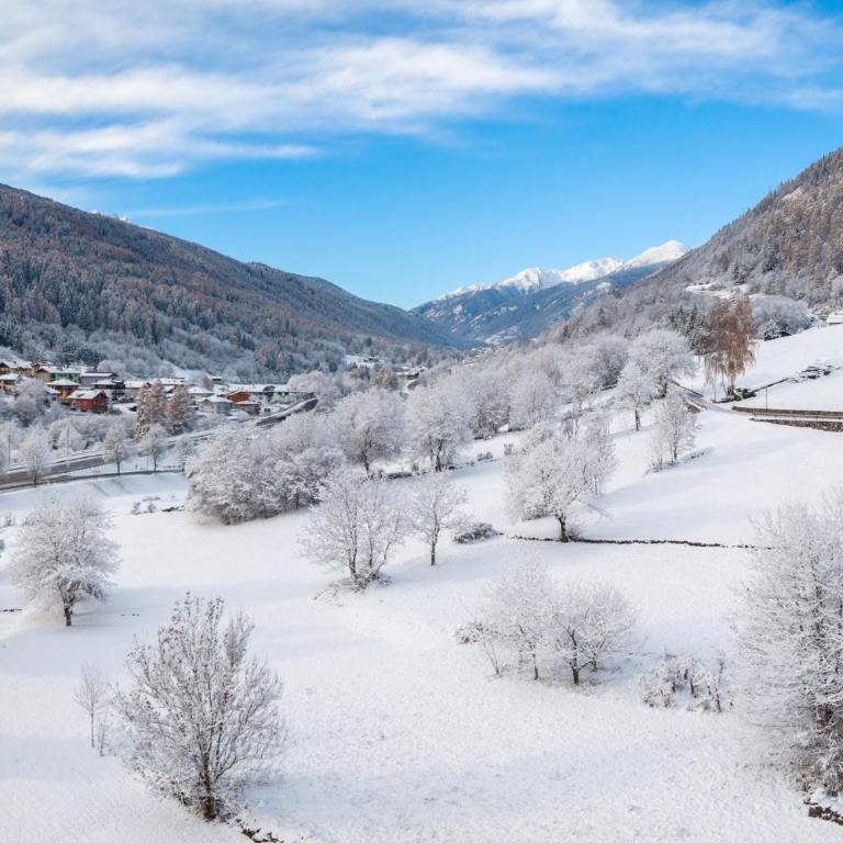 Armonia - Your Alpine Hideaway - Appartamento - 41