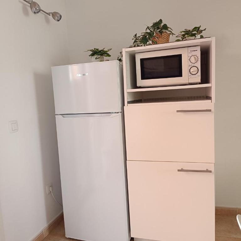 Alíseos - Apartamento de 1 dormitorio - 22