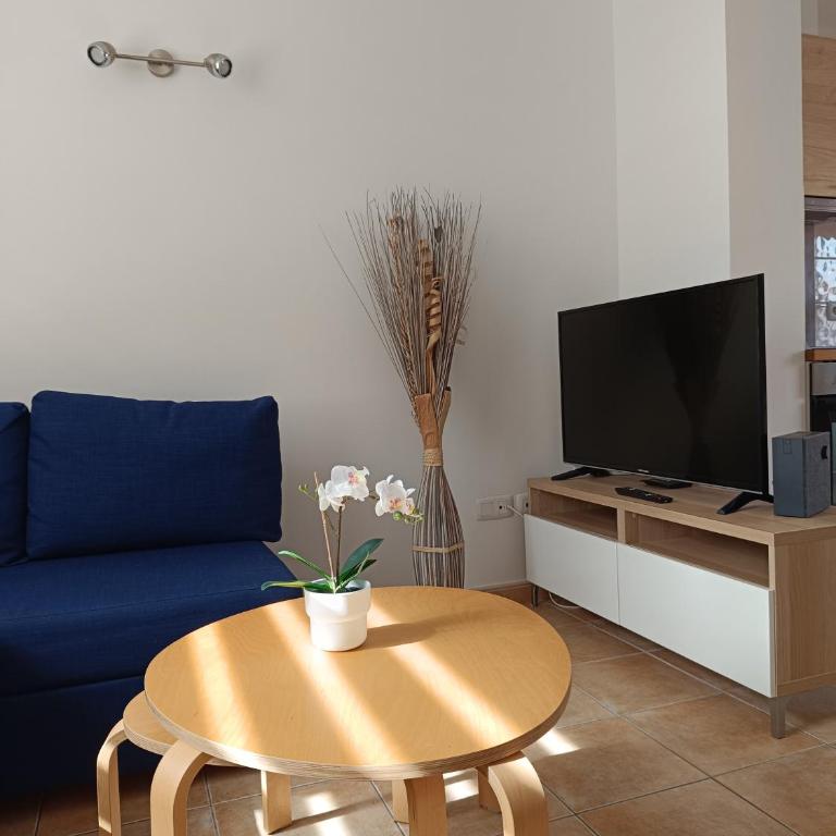 Alíseos - Apartamento de 1 dormitorio - 21