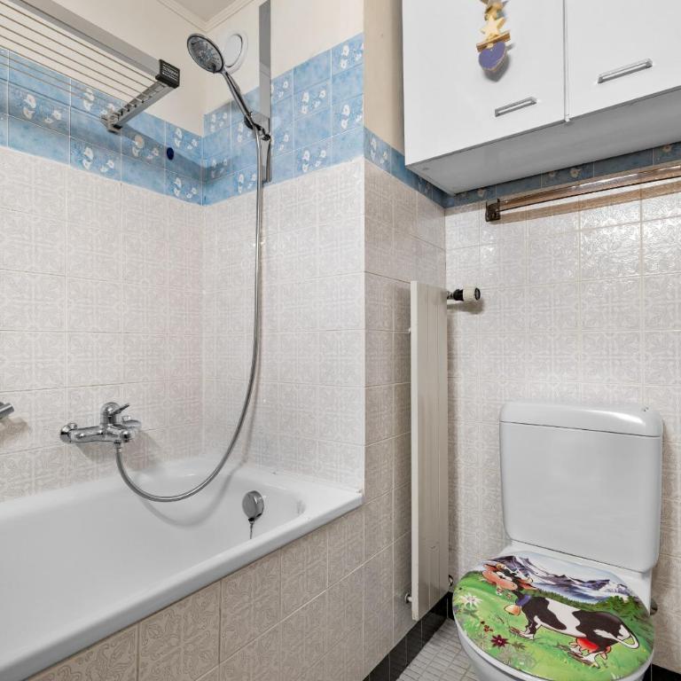 Les Bouleaux D1 - 2-4 pers - centre station - Studio mit Bergblick - 13