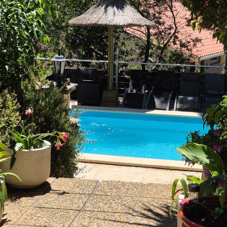 APT 65 M2 DANS VILLA AVEC PISCINE BANYULS SUR MER - One-Bedroom Apartment - 13
