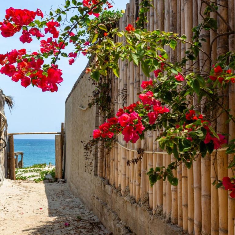 Mancora Vichayito Peru Beach House - Villa - 15