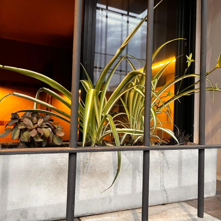 Depto Boutique Chivilcoy - Apartamento de 1 dormitorio - 1