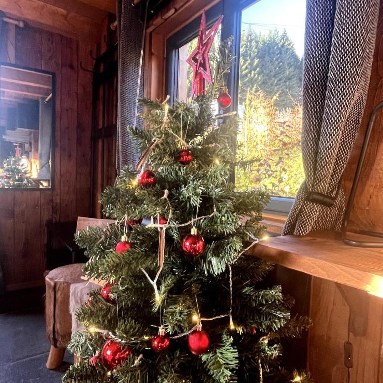 Chalet ski-in-out face au MontBlanc & Bain nordique - Chalet mit 2 Schlafzimmern - 55