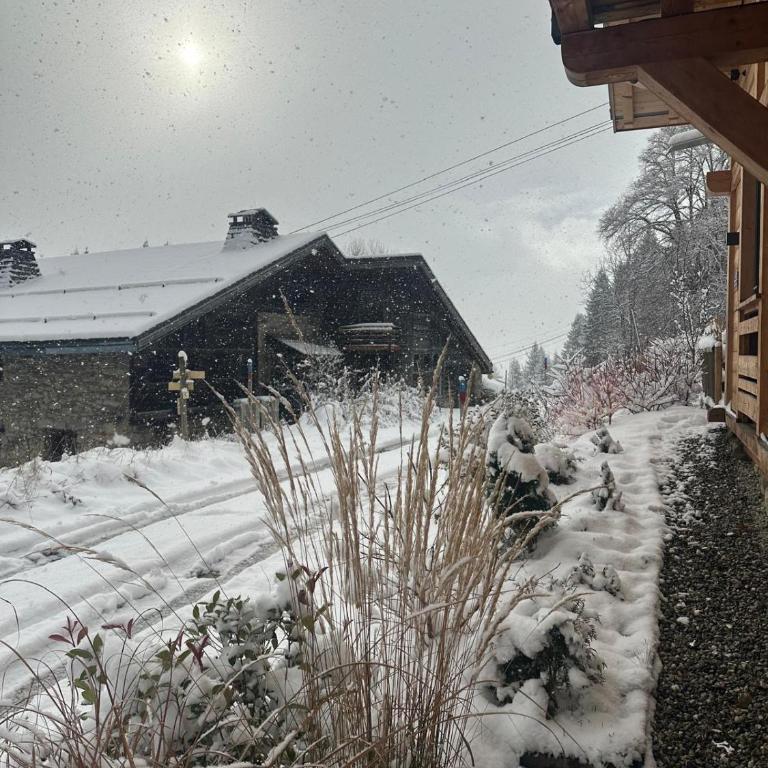 Chalet ski-in-out face au MontBlanc & Bain nordique - Chalet mit 2 Schlafzimmern - 54