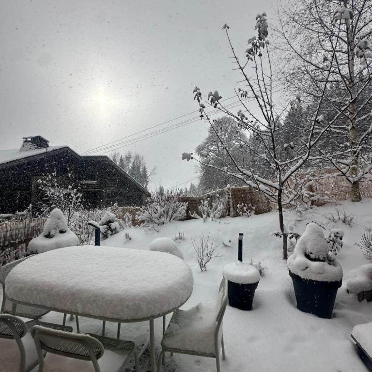 Chalet ski-in-out face au MontBlanc & Bain nordique - Chalet mit 2 Schlafzimmern - 29