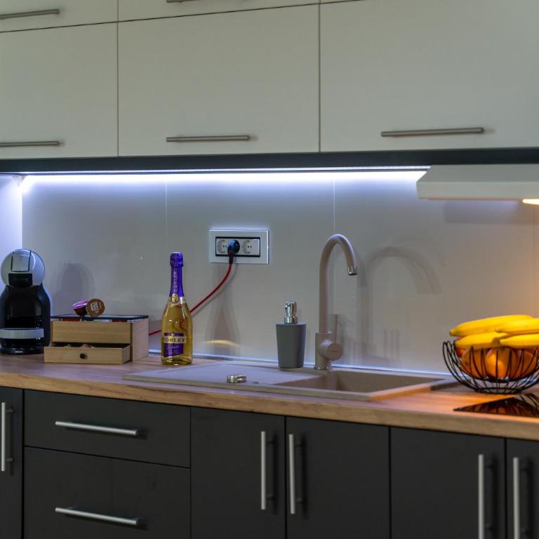 SkyLine Lux Apartman Zlatna Lisica Zlatibor - Apartman - 43