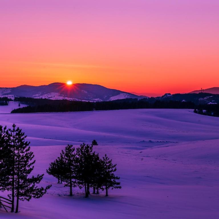 SkyLine Lux Apartman Zlatna Lisica Zlatibor - Apartman - 48