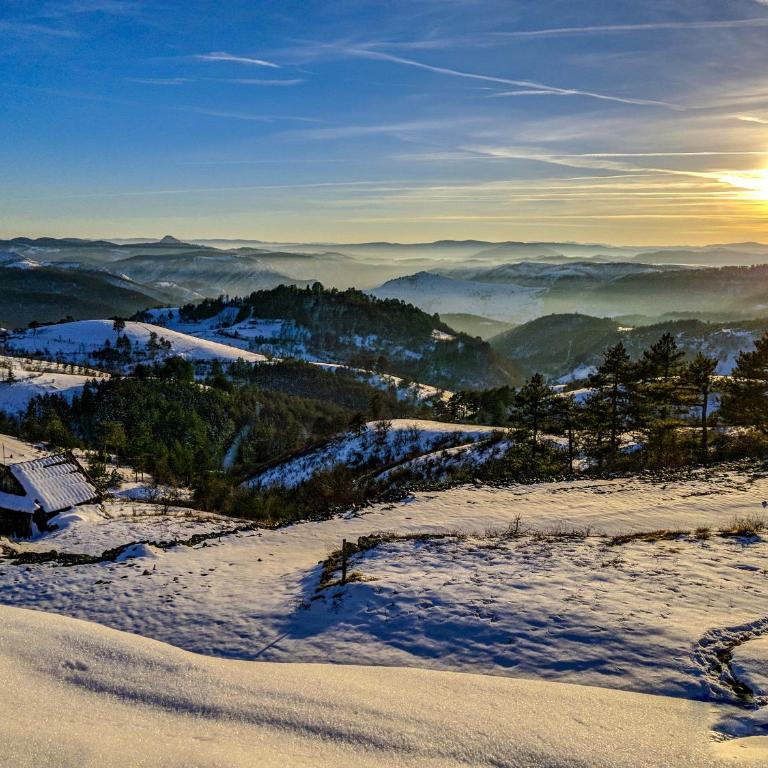 SkyLine Lux Apartman Zlatna Lisica Zlatibor - Apartman - 46