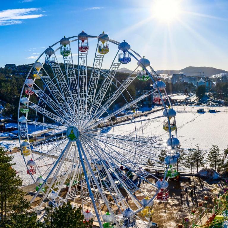 SkyLine Lux Apartman Zlatna Lisica Zlatibor - Apartman - 49