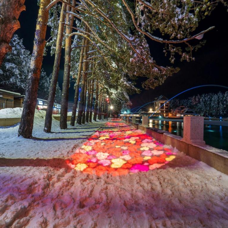 SkyLine Lux Apartman Zlatna Lisica Zlatibor - Apartman - 52