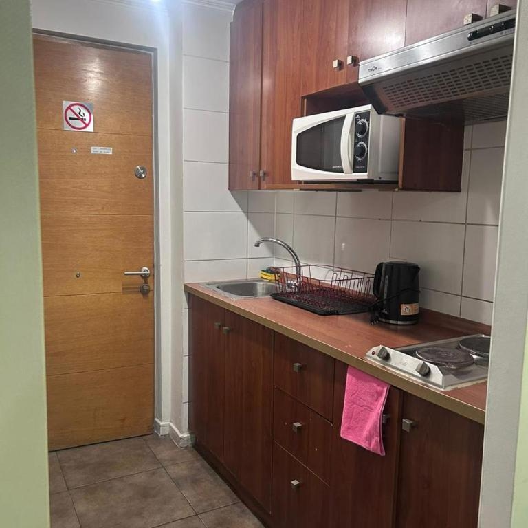 Santiago - One-Bedroom Apartment - 2