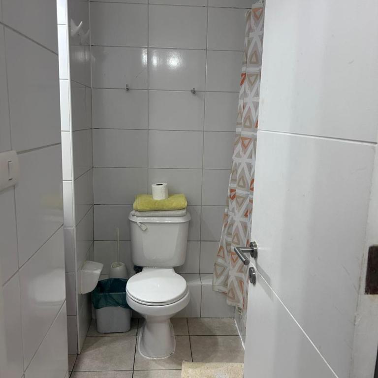 Santiago - One-Bedroom Apartment - 4