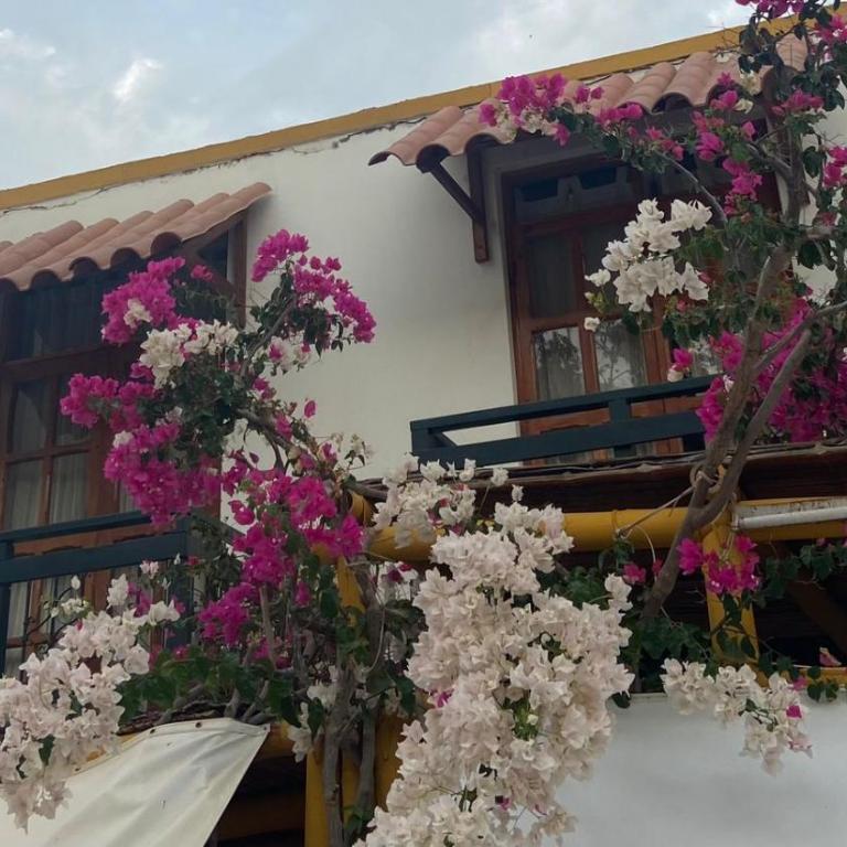 Hosteria Suiza - Habitación Doble - 3