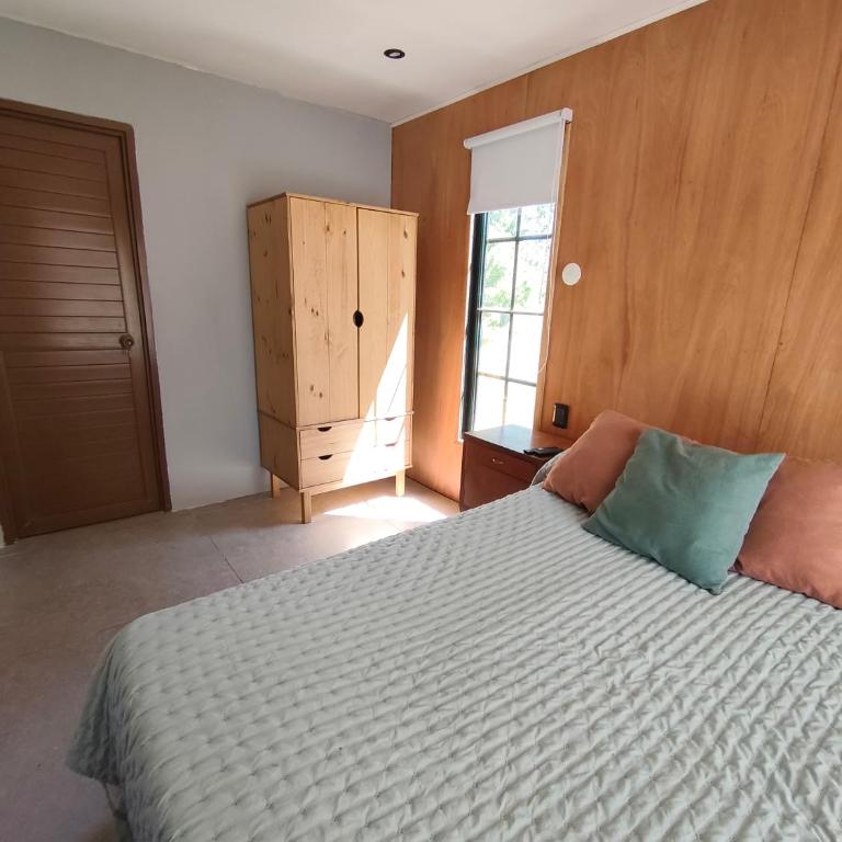 Alamo - Apartamento de 1 dormitorio - 5