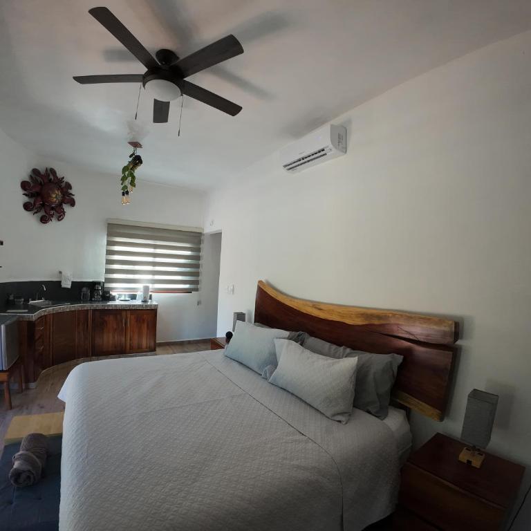 Hotel Aldea Maya - King Room with Pool View - 16