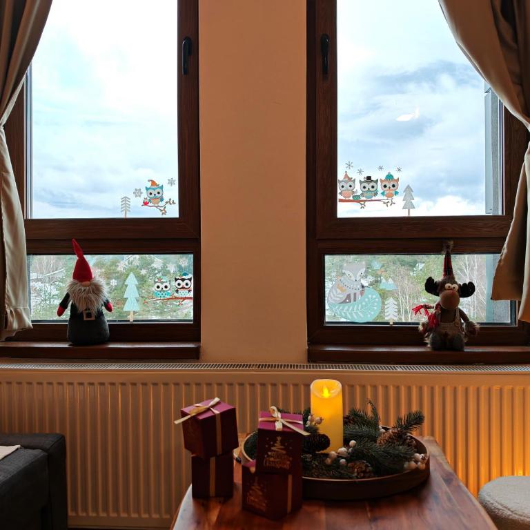 Aries apartman Divčibare - Apartman sa 1 Spavaćom Sobom - 31