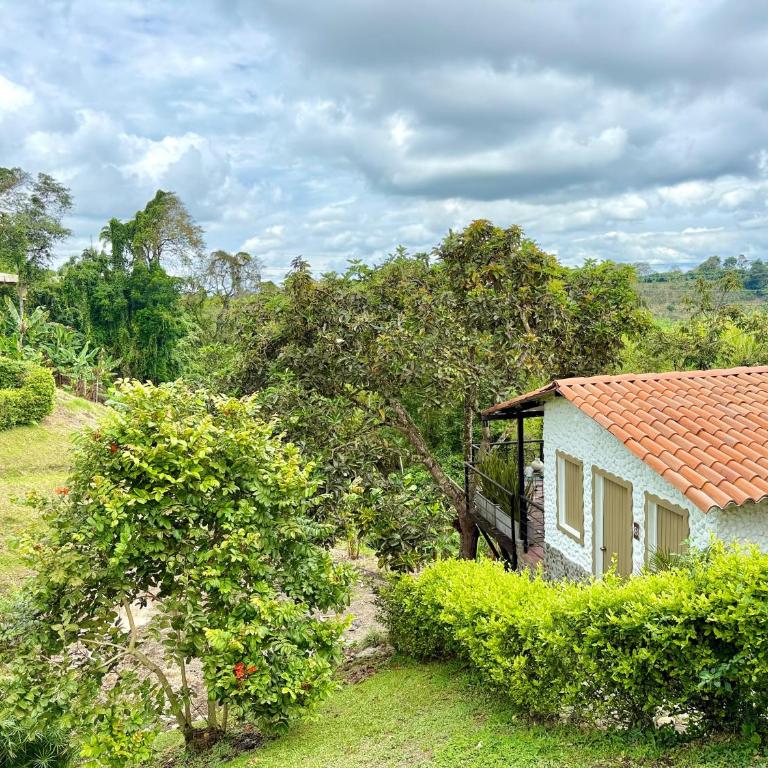 Finca Hotel Sol Y Luna - Habitación con cama grande y balcón - 4