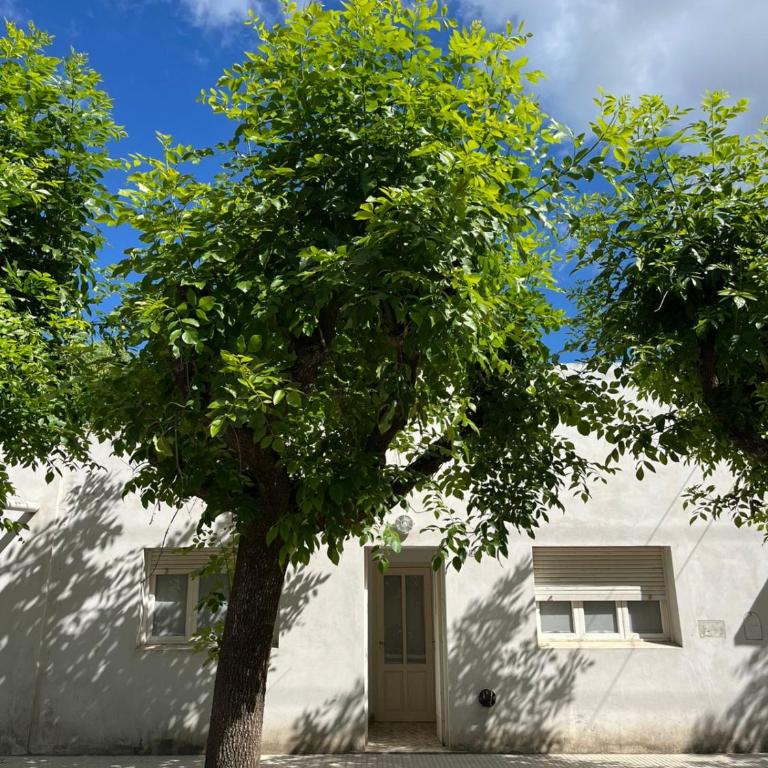 DEPTO PAZ - Apartamento de 1 dormitorio - 2