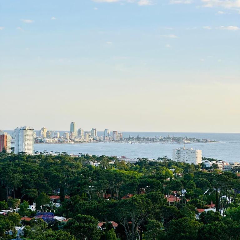 Luxurious new penthouse with ocean views - One-Bedroom Apartment - 10