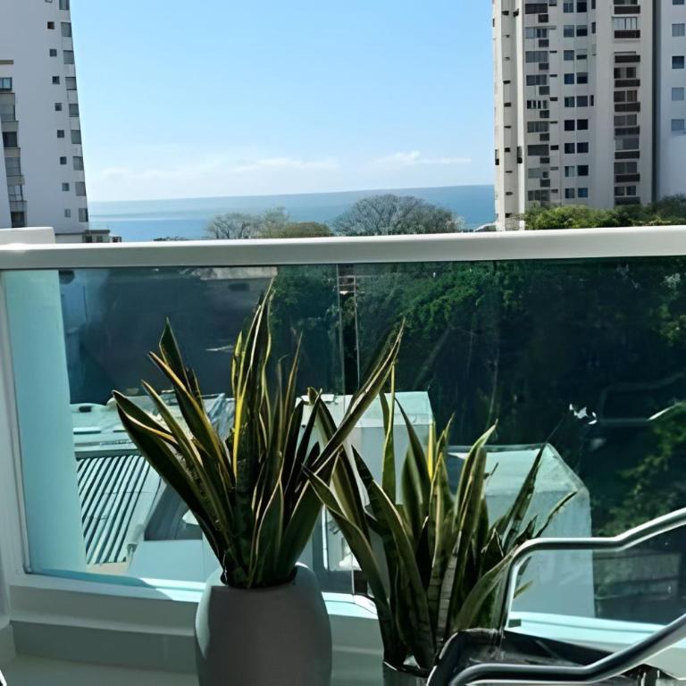 Rodadero | Poll Infinita | Vista al Mar | 1BR, 2BA - Apartamento de 1 dormitorio - 18