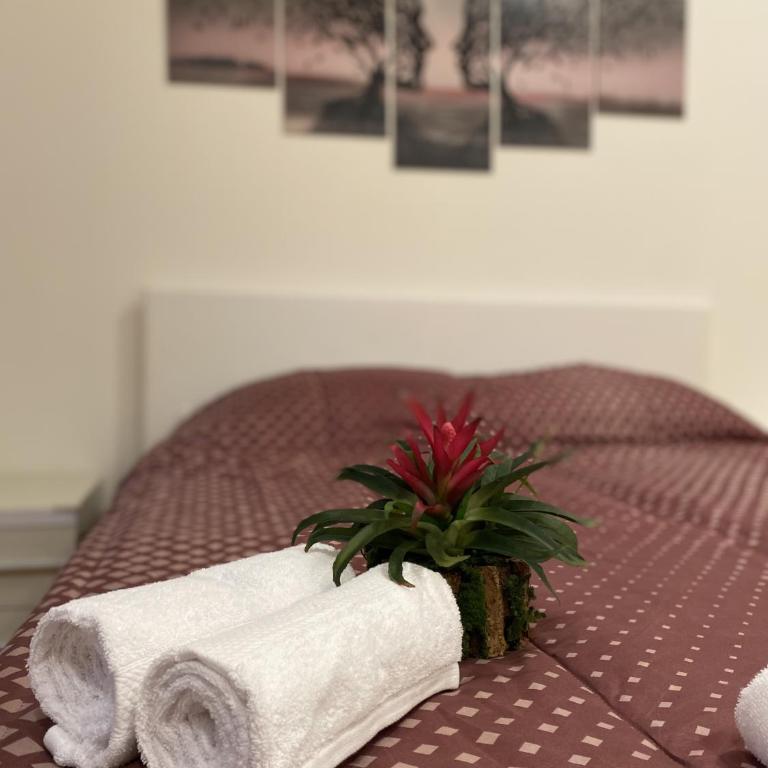 A casa di Dina - Appartamento con 1 Camera da Letto - 15
