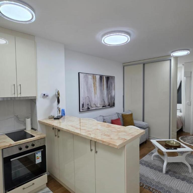 Apartman Beograd - One-Bedroom Apartment - 3