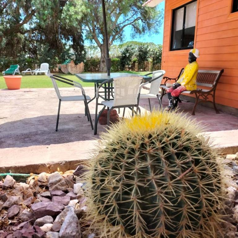 Oasis y canto de pájaros Piedra Colgada Copiapó - One-Bedroom House - 1