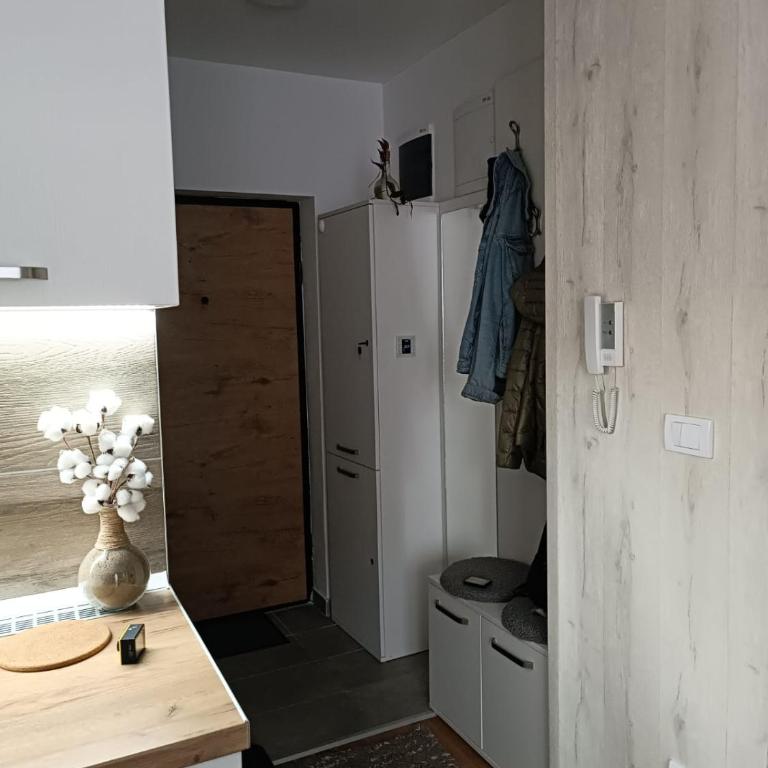 Divci Nova1- A8 - Apartman sa 1 Spavaćom Sobom - 11