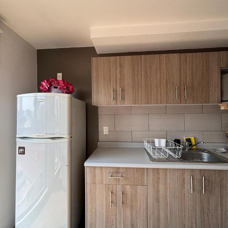 Reforma Sky Flat - Steps from Bellas Artes - Two-Bedroom Apartment - 48