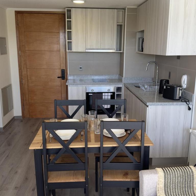 Oceana Suites en Concepción - One-Bedroom Apartment - 19