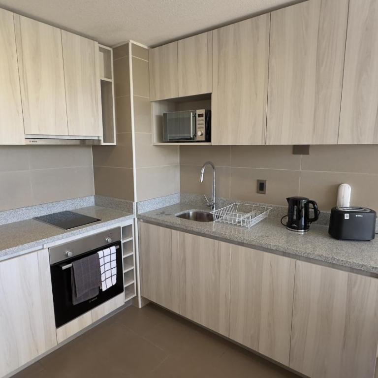 Oceana Suites en Concepción - One-Bedroom Apartment - 9