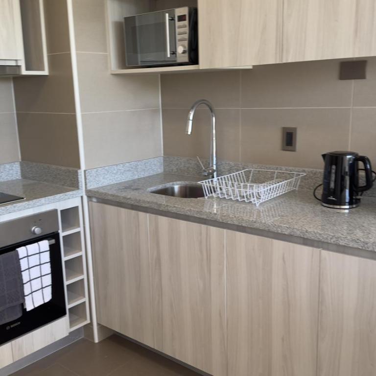 Oceana Suites en Concepción - One-Bedroom Apartment - 8