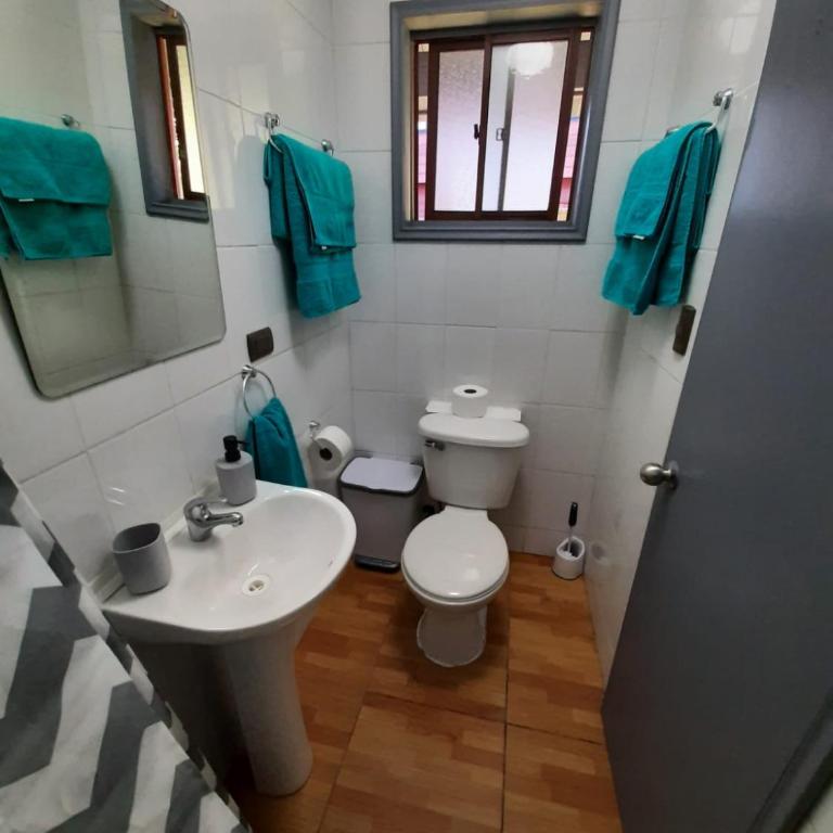 Cabaña Apartamento en Valdivia sector Hospital Regional - One-Bedroom Apartment - 6