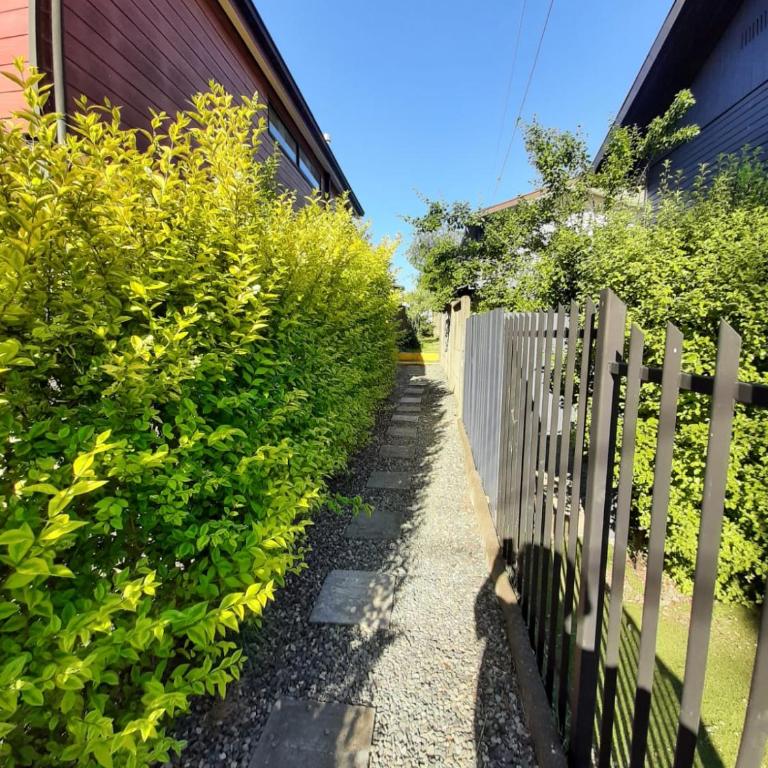 Cabaña Apartamento en Valdivia sector Hospital Regional - One-Bedroom Apartment - 11