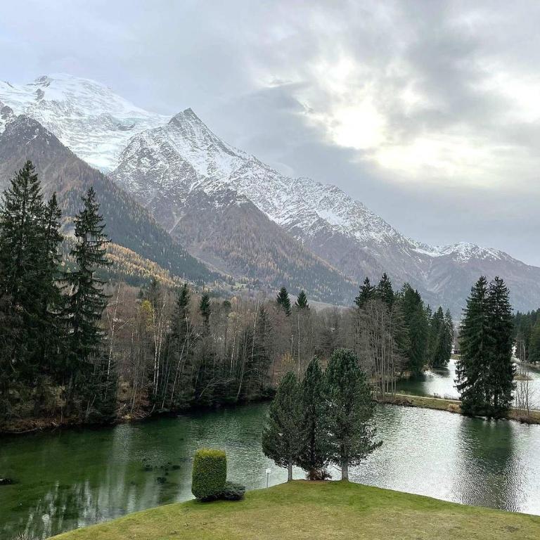 Appartement spacieux avec parking et animaux admis, proche de Chamonix - FR-1-343-273 - Apartment - 2