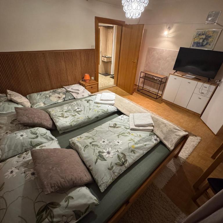 Steinadler Apartments Quiet Location Garden, Private Parking Pet Friendly - Appartement - Vue sur Jardin - 6