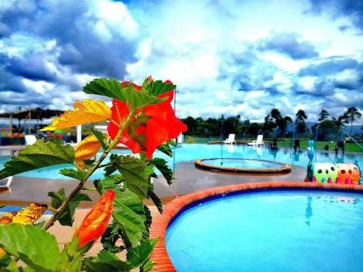 Increíble y cálido Apto Familiar, Descanso Quindío - Apartamento de 3 dormitorios - 13